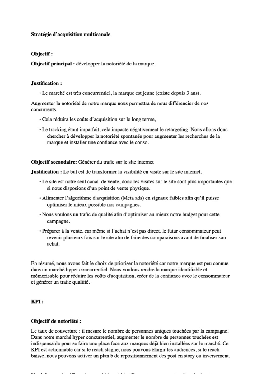 Aperçu du dossier de stratégie Social Ads