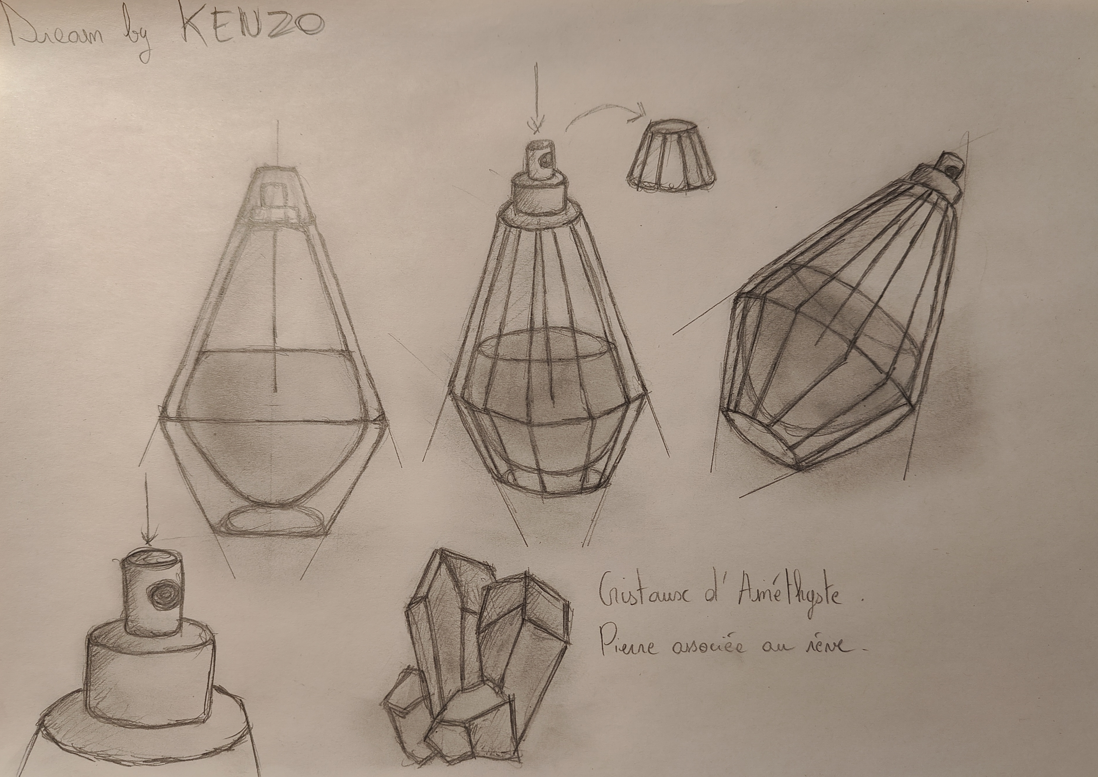 Croquis du flacon du parfum en 3D